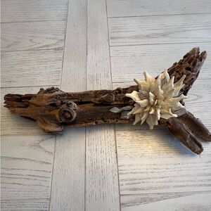 Driftwood Wall Art with Cream Seashell Flower Handmade